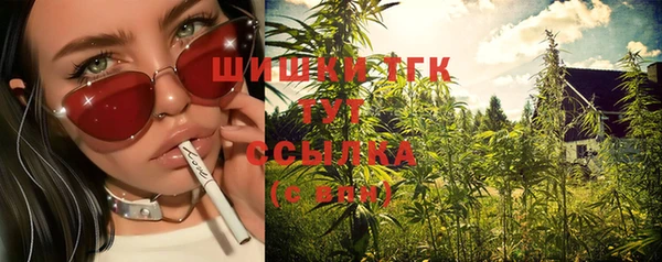 ГАЛЛЮЦИНОГЕННЫЕ ГРИБЫ Абаза