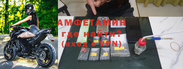 ГАЛЛЮЦИНОГЕННЫЕ ГРИБЫ Абаза