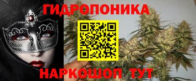 a pvp Гусь-Хрустальный