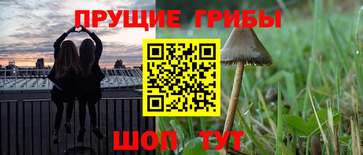 Галлюциногенные грибы мухоморы Знаменск