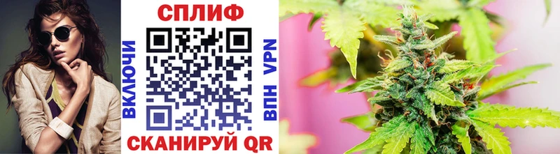 Конопля план дарнет шоп Знаменск